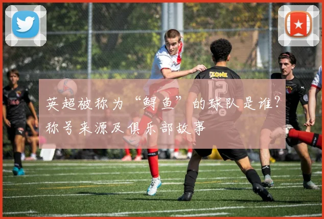 英超被称为“鲟鱼”的球队是谁?称号来源及俱乐部故事