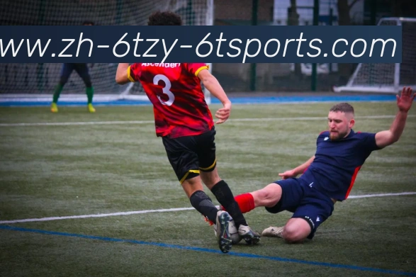 6T体育APP 高清赛事图